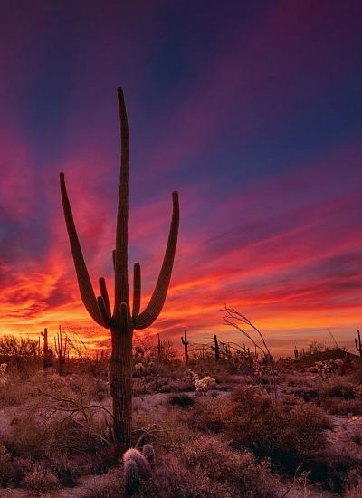 Best of Our Valley 2025: THE LIST
