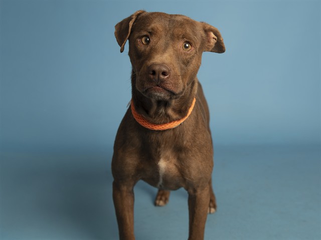 Uko Goes From Shy to Center of the Party After Rescue!
