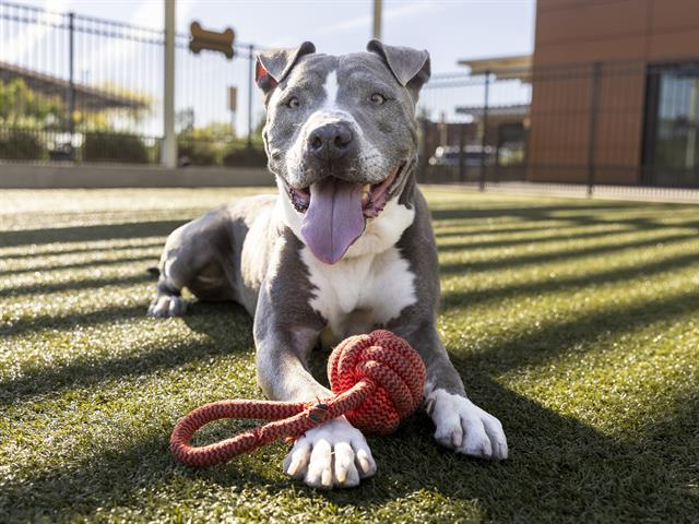 Reese is Sweeter than Candy!